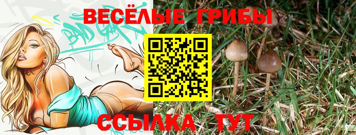 Галлюциногенные грибы Cubensis Отрадный