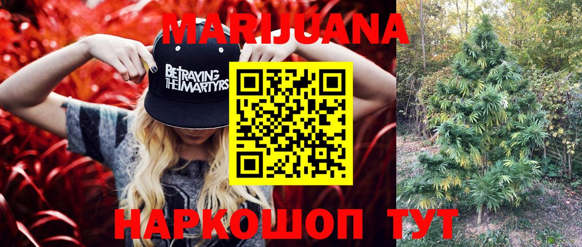 Бошки марихуана планчик Отрадный